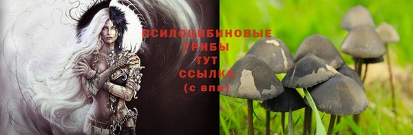 марки lsd Абаза