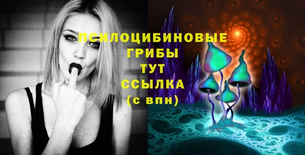эйфоретик Абинск