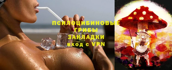 сатива Алексин