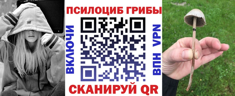 Галлюциногенные грибы ЛСД  Хасавюрт 